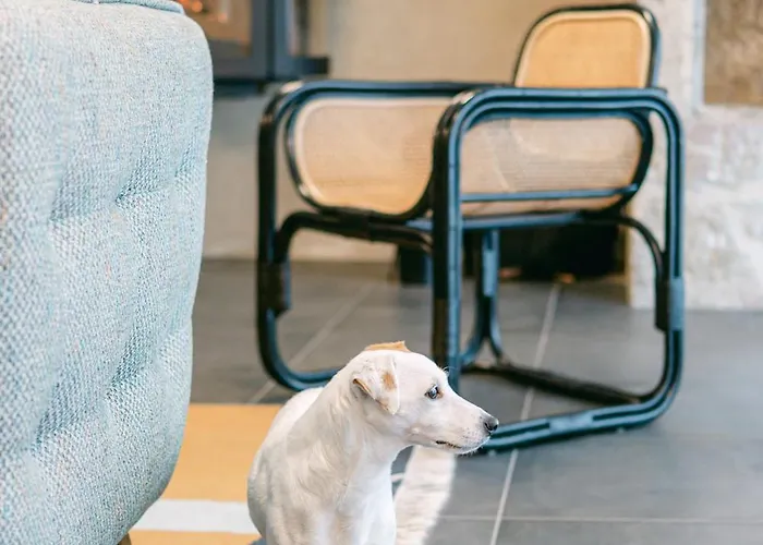 Hotel Logis Restaurant L'argence Sainte-Genevieve-sur-Argence